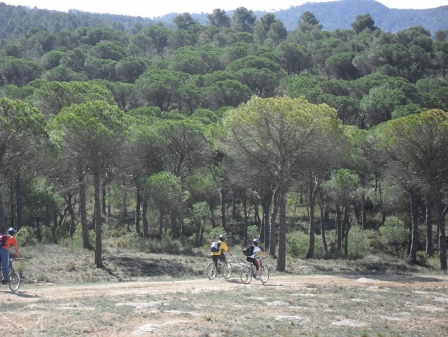 Recorrido en BTT